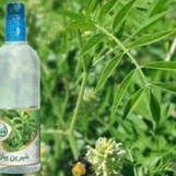 عرق شیرین بیان